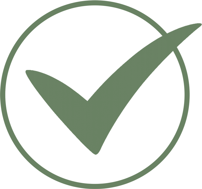 Checkmark Icon
